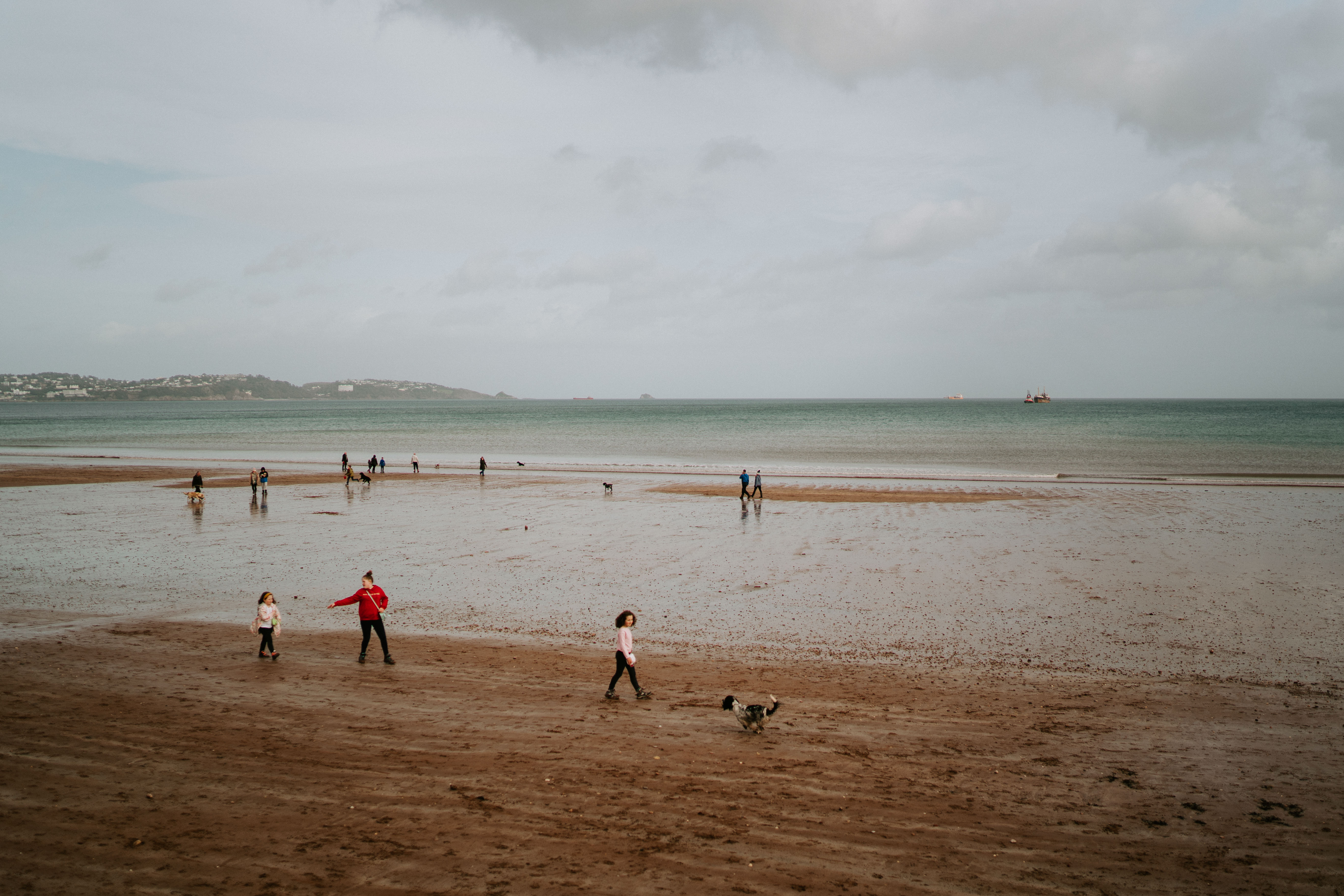 Devon 2020 118