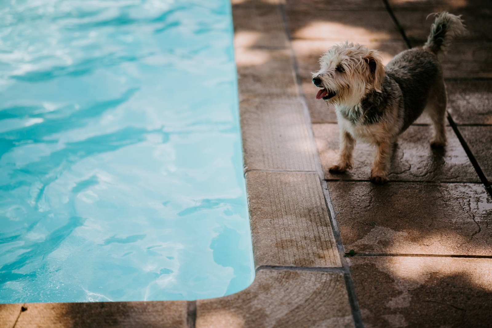 Luxury jersey wedding photography 166