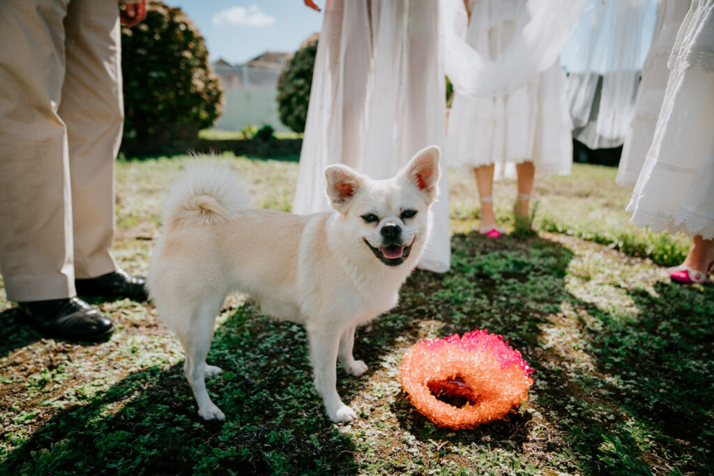 Luxury jersey wedding photography 47